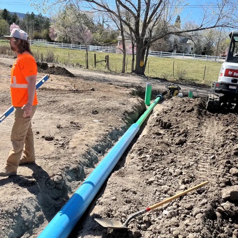 Sunlight in park with wood planks floor